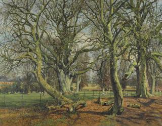 James Mcintosh Patrick, R.S.A. - Ancient Trees, Mains Of Gray, Invergowrie