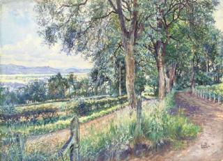 James Mcintosh Patrick, R.S.A. - Near Mill Hill, Rossie Priory, Perthshire