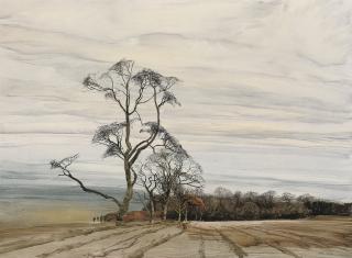 James Morrison, R.S.A., R.S.W. - Field Edge at Stracathro