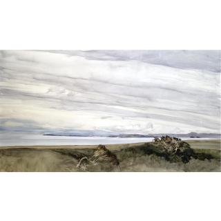 James Morrison, R.S.A, R.S.W. - Whins By The Coast