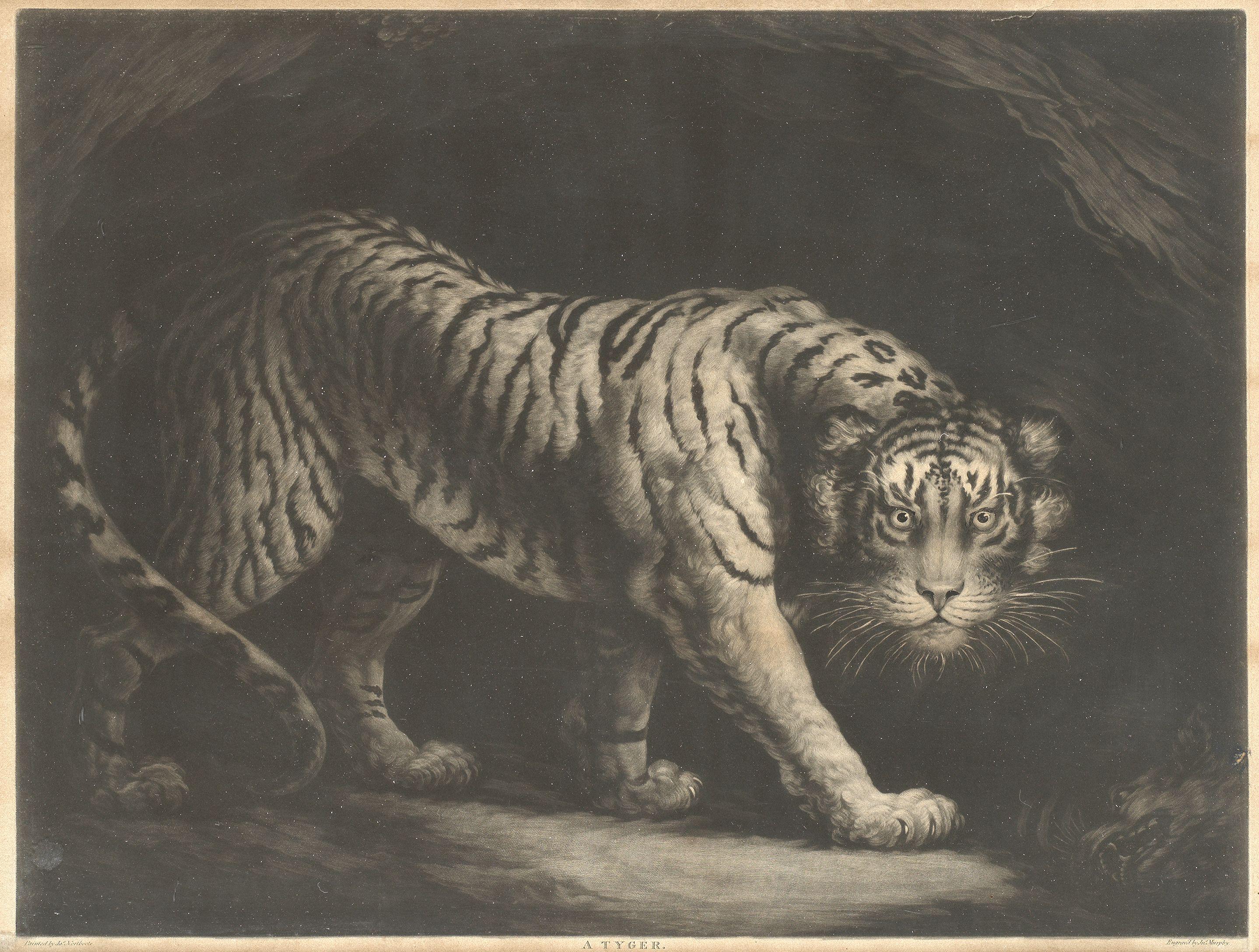 James Northcote RA - A Tyger