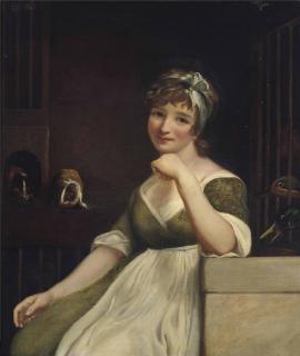 James Northcote - A young lady in a green dress, seated in an interior, with ducks and guinea pigs