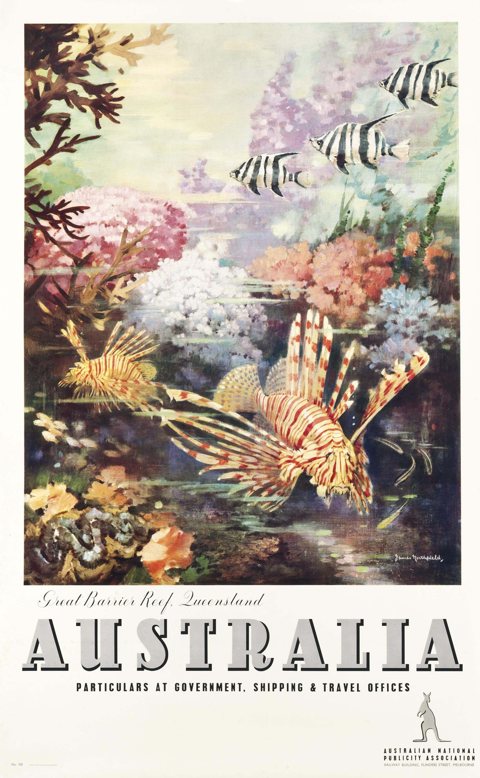 James Northfield - Australia, Great Barrier Reef, Queensland