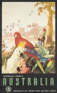 James Northfield - Australia, Parrots