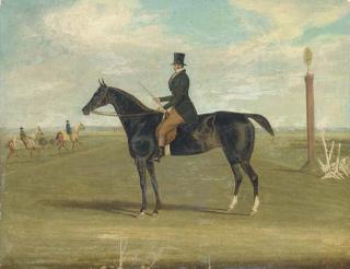 James Pollard - A Black Racehorse With A Trainer Up, With Horses Being Exercised Beyond