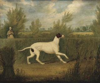 James Pollard - The partridge shoot