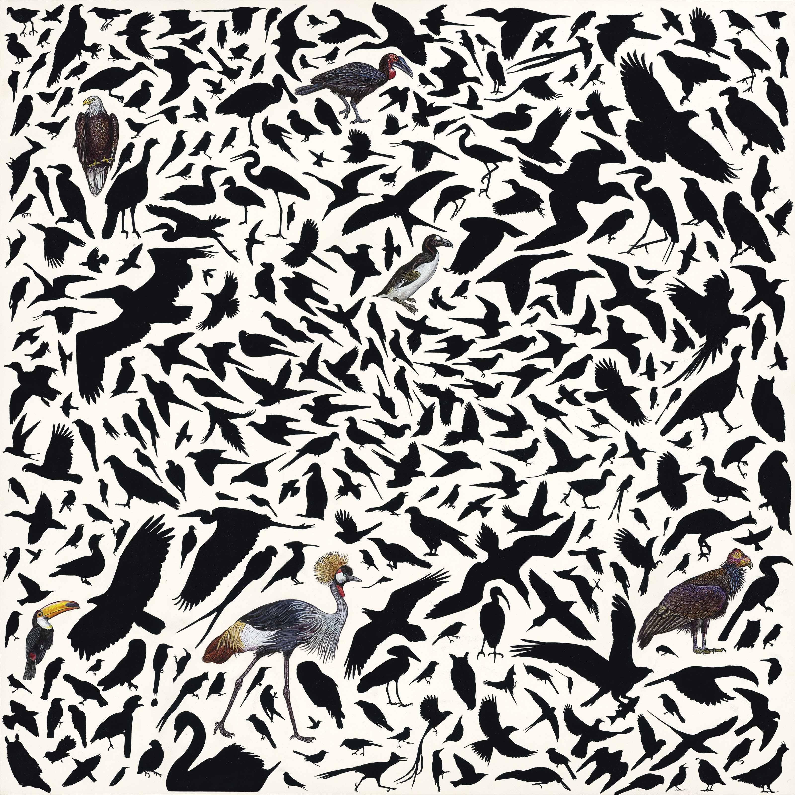 James Prosek - Untitled