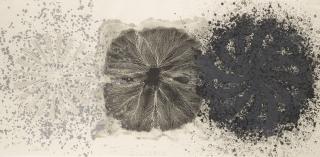 James Rosenquist - Black Tie (Glenn 121)