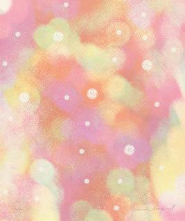 James Rosenquist - Circles of Confusion