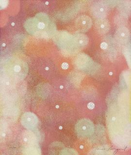 James Rosenquist - Circles of Confusion