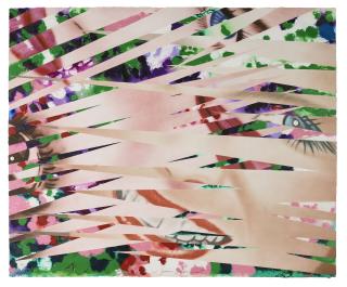 James Rosenquist - Crosshatch and Mutations, from Secrets in Carnations