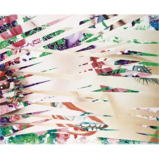 James Rosenquist - Crosshatch And Mutations (Glenn 207)