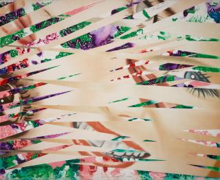 James Rosenquist - Crosshatch and Mutations (Glenn 207)