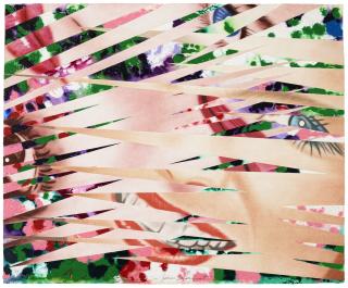 James Rosenquist - Crosshatch and Mutations
