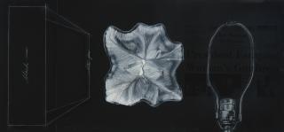 James Rosenquist - Drawing For X-Rayed Flower