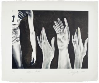 James Rosenquist - Flower Garden