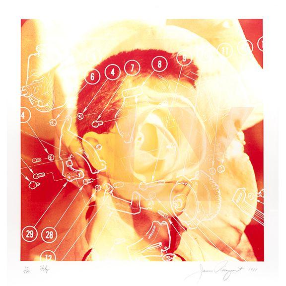 James Rosenquist - Fly, from High Technology and Mysticism: A Meeting Point