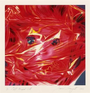 James Rosenquist - Gift wrapped doll.