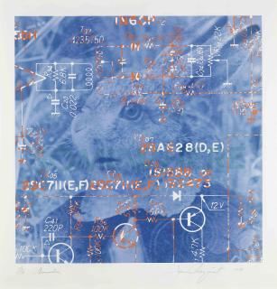 James Rosenquist - High Technology and Mysticisim: A Meeting Point (G. 180-186)