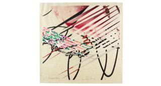 James Rosenquist - Kabuki Blushes, from Secrets in Carnations
