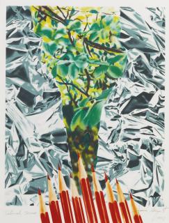 James Rosenquist - Katonah Muse