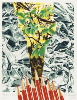 James Rosenquist - Katonah Muse