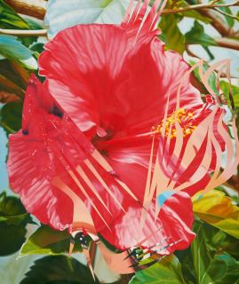 James Rosenquist - More Points On The Edge Of The Blossom