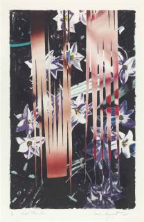 James Rosenquist - Night Transitions