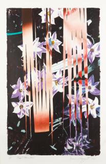 James Rosenquist - Night Transitions