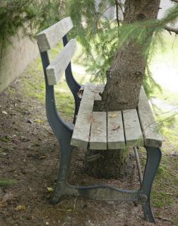 James Rosenquist - Pine Tree In A Bench