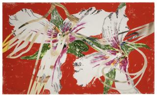 James Rosenquist - Sister Shrieks, from: Secrets in Carnations