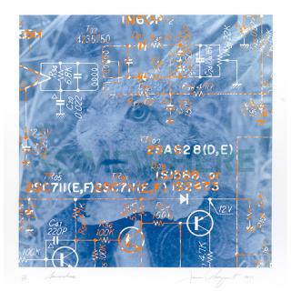 James Rosenquist - Somewhere, from High Technology and Mysticism: A Meeting Point