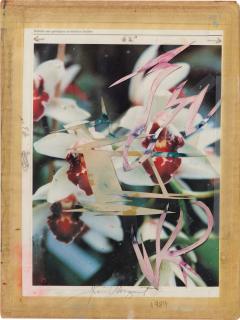 James Rosenquist - Source for Incarnation Incantation