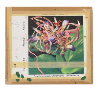 James Rosenquist - Source for \'Untitled\'