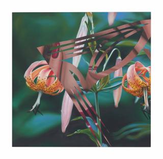 James Rosenquist - Untitled