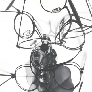 James Rosenquist - Vestigial Intellect