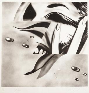 James Rosenquist - Zone