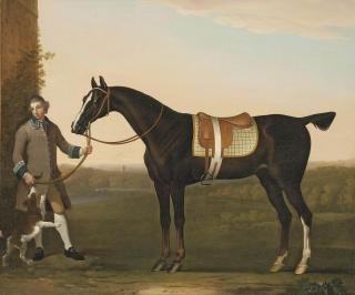 James Seymour - A hunter held by a groom with a dog, in a wooded landscape