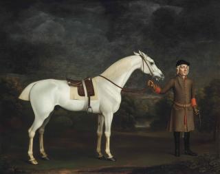 James Seymour - A saddled grey thoroughbred racehorse being held by a groom