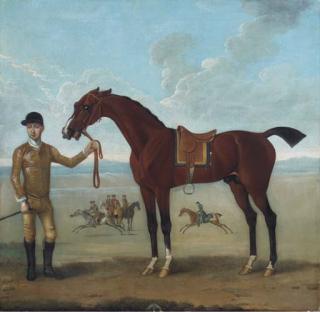 James Seymour - The Duke of Devonshire\'s Flying Childers held by a jockey, with horses excercising beyond