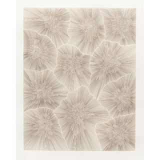 James Siena - Upside Down Devil Variation