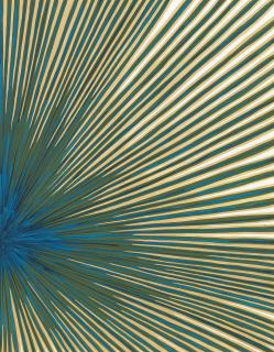 James Siena - Upside Down Devil