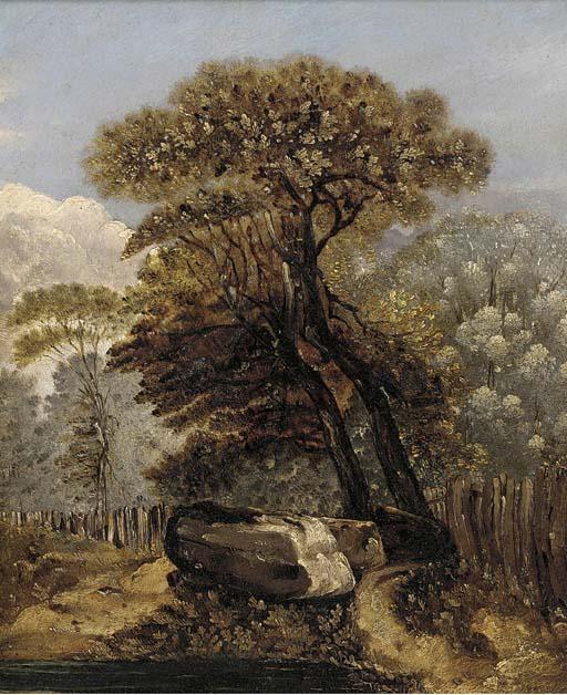 James Sillett - A wooded landscape