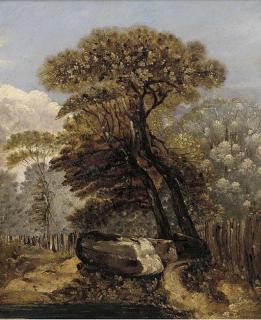 James Sillett - A wooded landscape