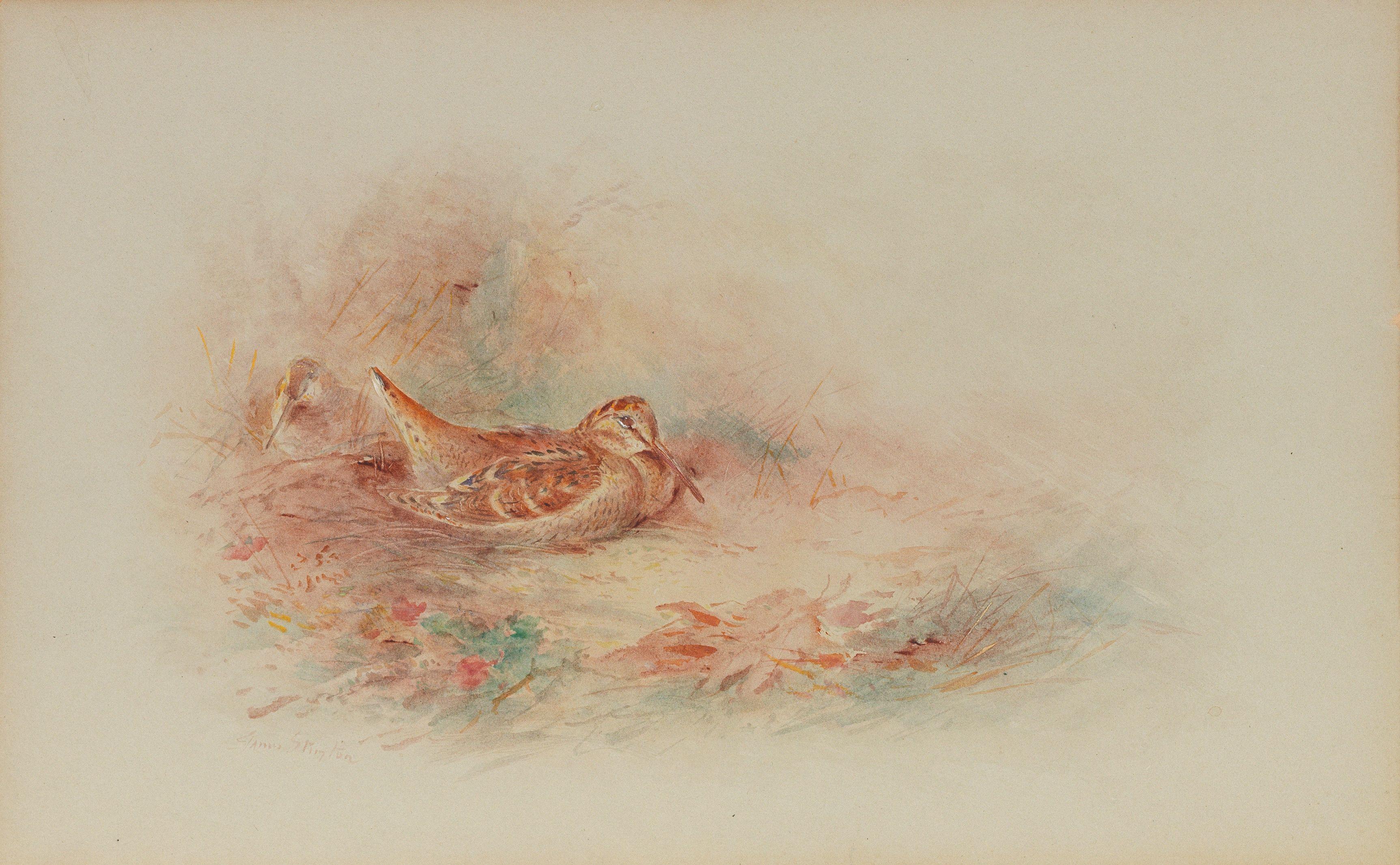 James Stinton - Nesting Woodcock