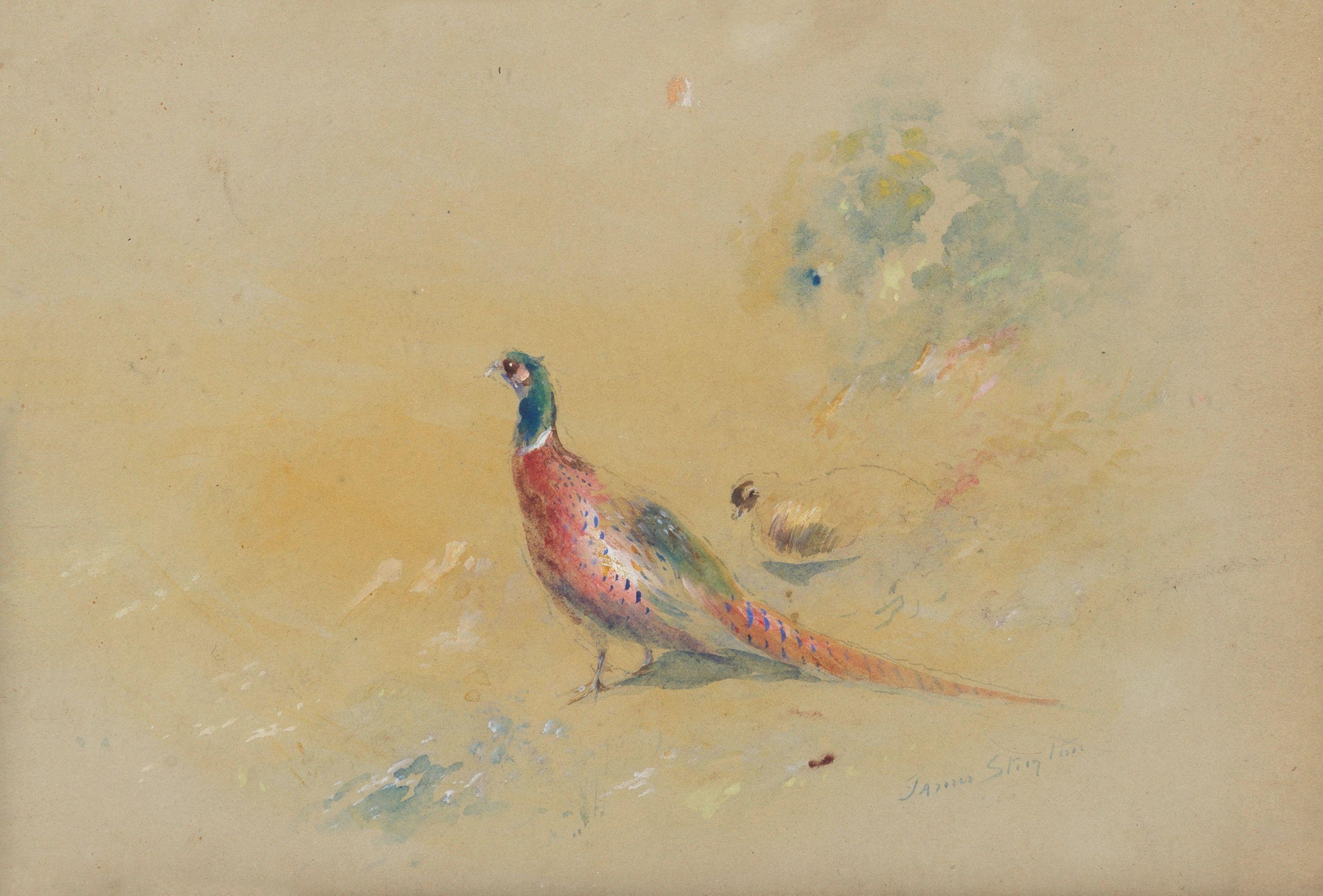 James Stinton - Pheasant and grouse
