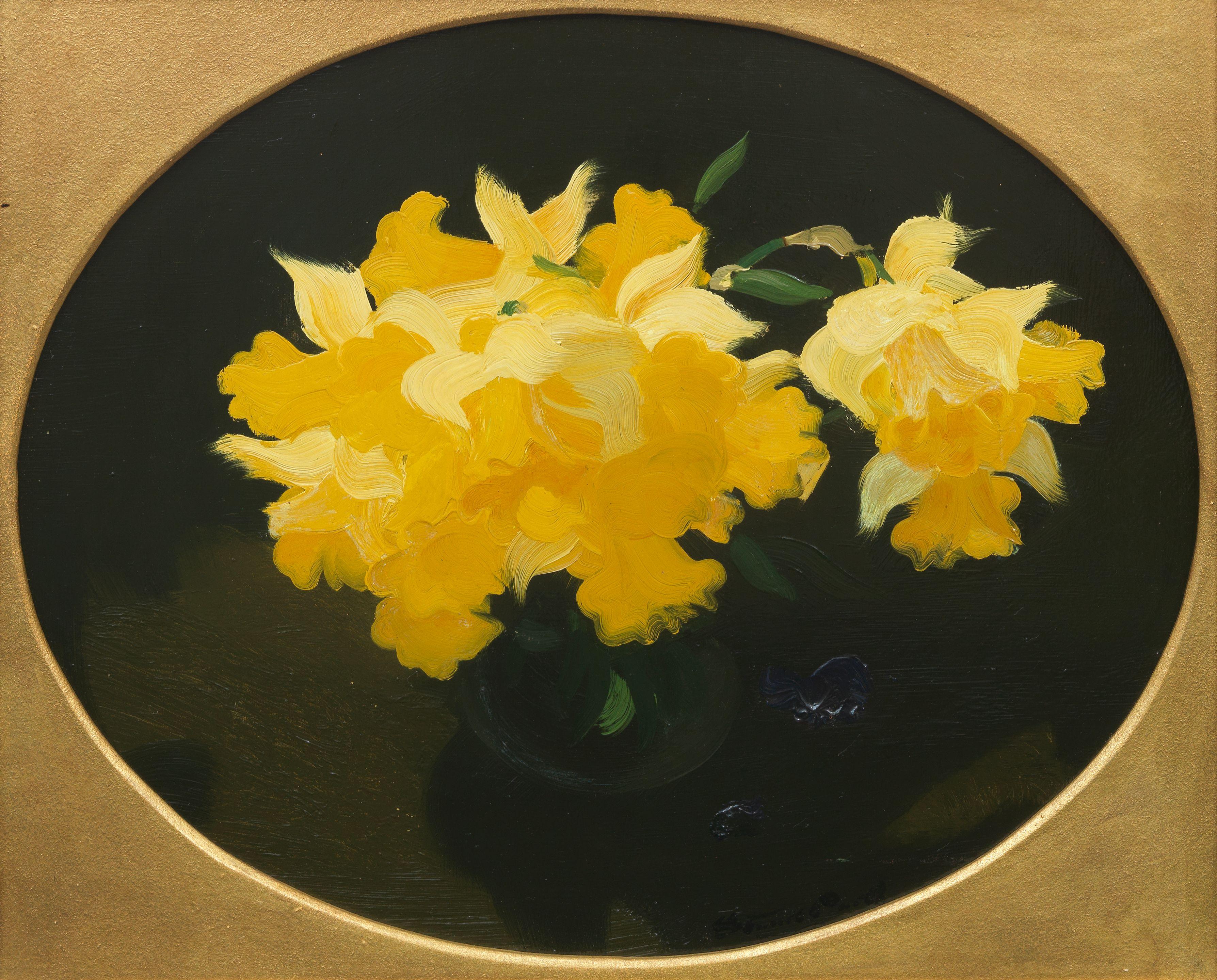 James Stuart Park - Daffodils