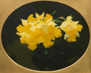 James Stuart Park - Daffodils