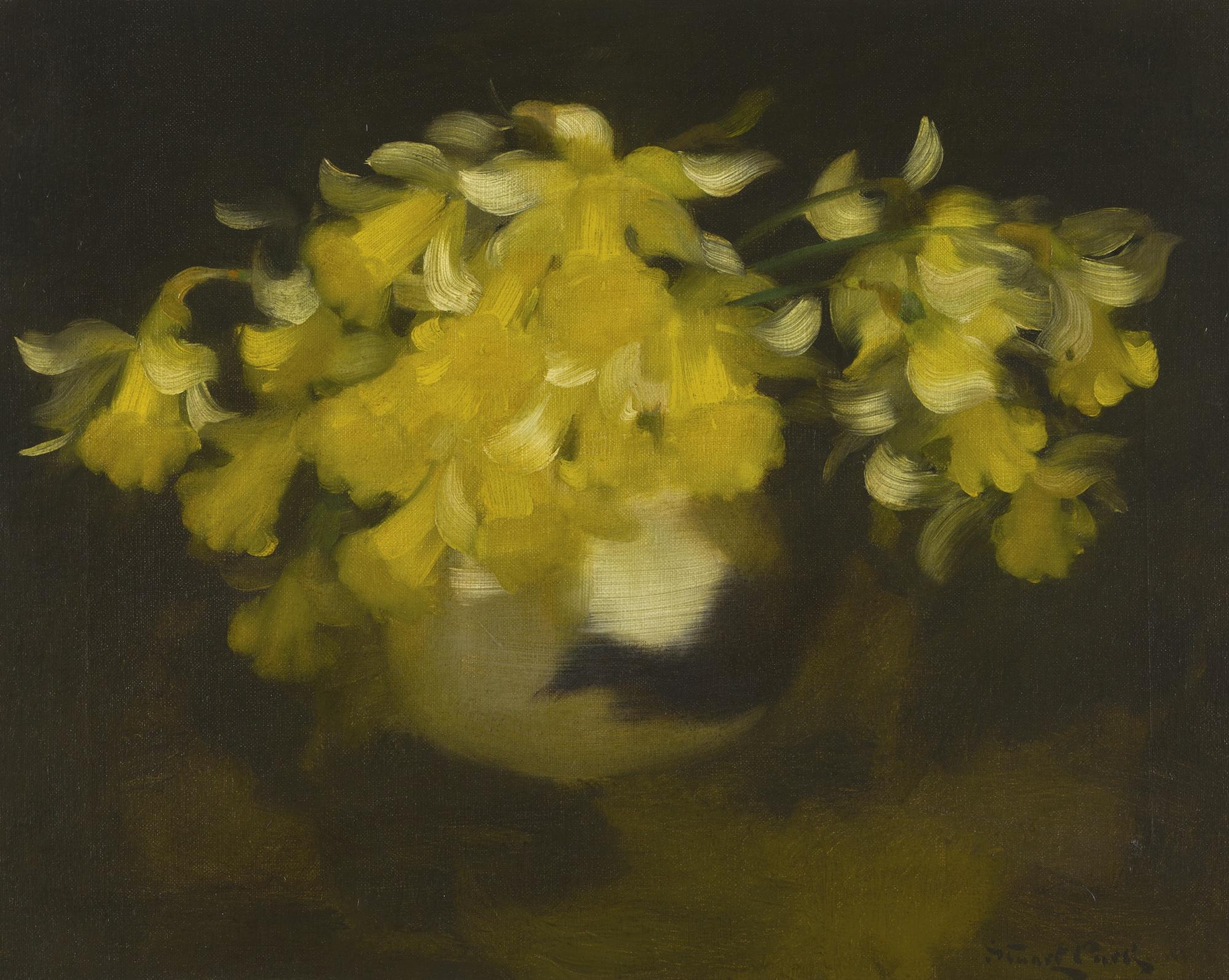James Stuart Park - Daffodils