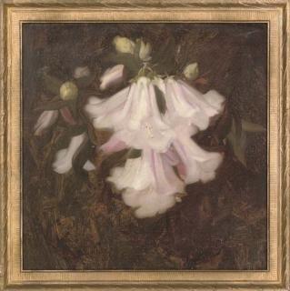 James Stuart Park - Flower study